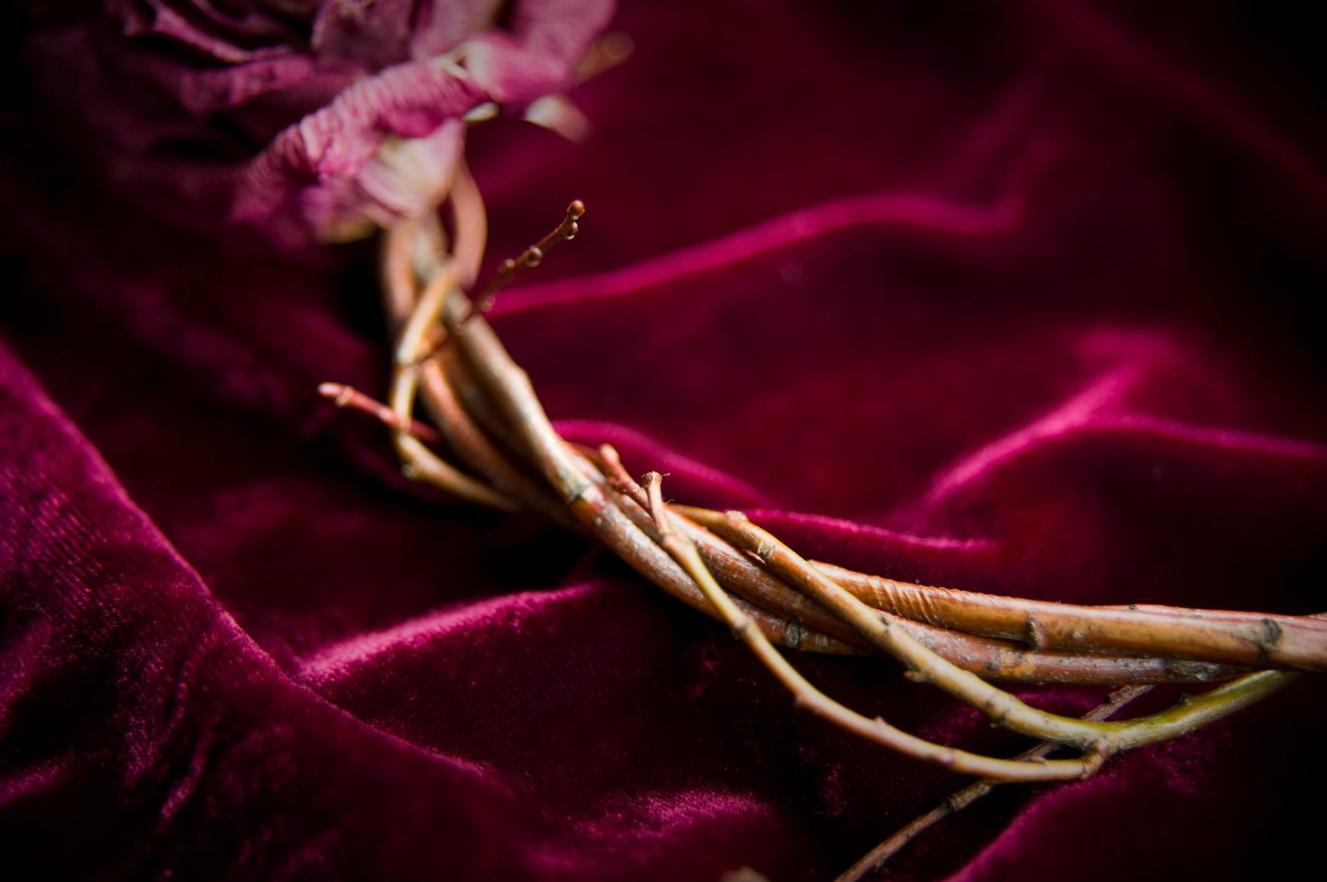 Nina Lindfors är fotograf, ta inte